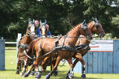 Foto des Albums: Fahrtunier 2012