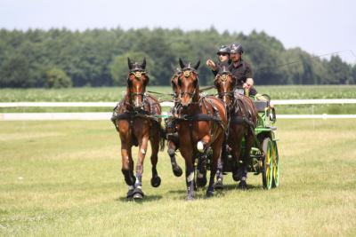 Foto des Albums: Fahrtunier 2012
