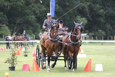 Foto des Albums: Fahrtunier 2012