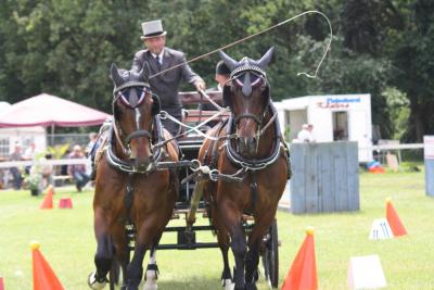 Foto des Albums: Fahrtunier 2012