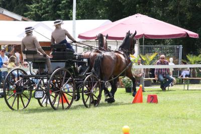 Foto des Albums: Fahrtunier 2012