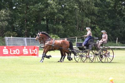 Foto des Albums: Fahrtunier 2012