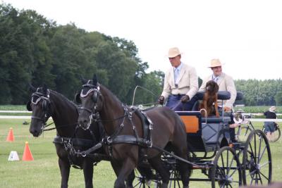 Foto des Albums: Fahrtunier 2012