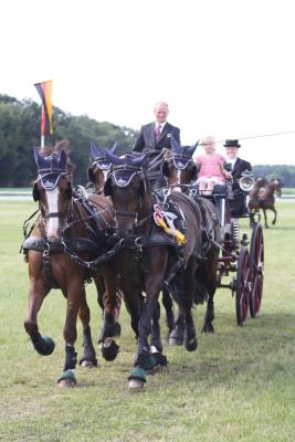Foto des Albums: Fahrtunier 2012