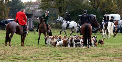 Foto des Albums: Herbstjagd 2012 Cappenberger Meute
