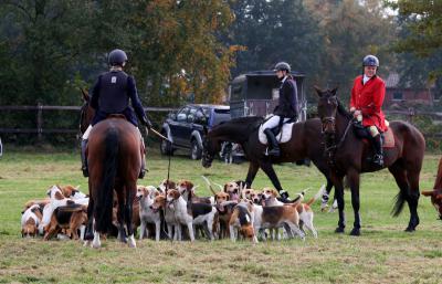 Foto des Albums: Herbstjagd 2012 Cappenberger Meute