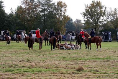 Foto des Albums: Herbstjagd 2012 Cappenberger Meute