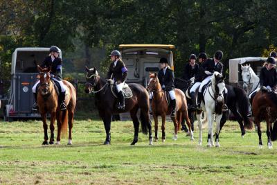 Foto des Albums: Herbstjagd 2012 Cappenberger Meute