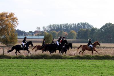 Foto des Albums: Herbstjagd 2012 Cappenberger Meute