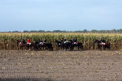 Foto des Albums: Herbstjagd 2012 Cappenberger Meute