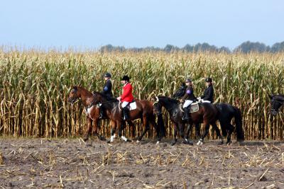 Foto des Albums: Herbstjagd 2012 Cappenberger Meute