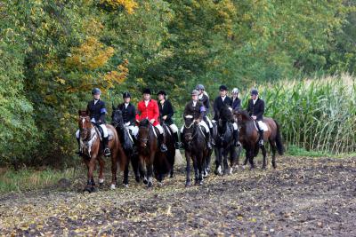 Foto des Albums: Herbstjagd 2012 Cappenberger Meute