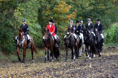 Foto des Albums: Herbstjagd 2012 Cappenberger Meute