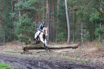 Foto des Albums: Herbstjagd 2012 Cappenberger Meute