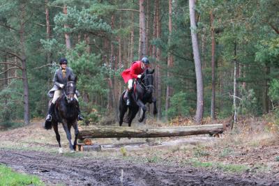 Foto des Albums: Herbstjagd 2012 Cappenberger Meute