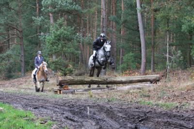 Foto des Albums: Herbstjagd 2012 Cappenberger Meute