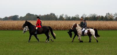 Foto des Albums: Herbstjagd 2012 Cappenberger Meute