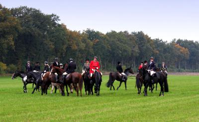 Foto des Albums: Herbstjagd 2012 Cappenberger Meute