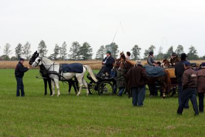 Foto des Albums: Herbstjagd 2012 Cappenberger Meute