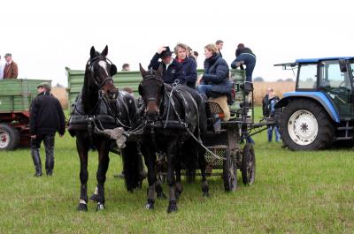 Foto des Albums: Herbstjagd 2012 Cappenberger Meute