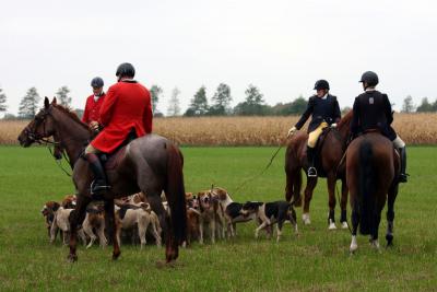 Foto des Albums: Herbstjagd 2012 Cappenberger Meute
