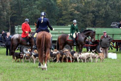 Foto des Albums: Herbstjagd 2012 Cappenberger Meute
