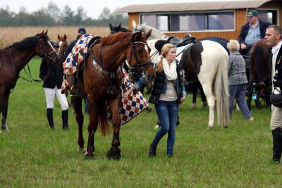 Foto des Albums: Herbstjagd 2012 Cappenberger Meute