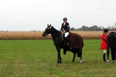 Foto des Albums: Herbstjagd 2012 Cappenberger Meute