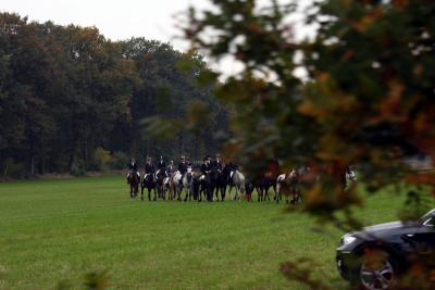 Foto des Albums: Herbstjagd 2012 Cappenberger Meute