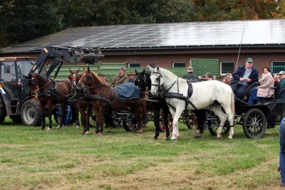 Foto des Albums: Herbstjagd 2012 Cappenberger Meute