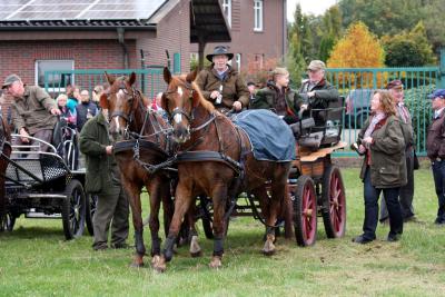 Foto des Albums: Herbstjagd 2012 Cappenberger Meute