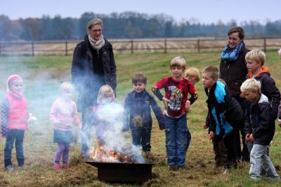Foto des Albums: Herbstjagd 2012 Cappenberger Meute