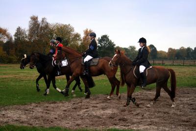 Foto des Albums: Herbstjagd 2012 Cappenberger Meute