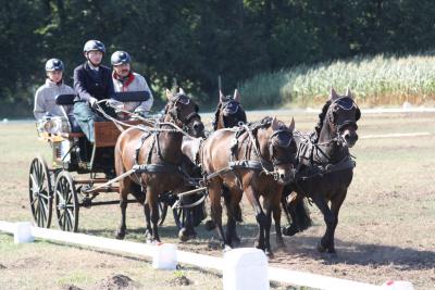 Foto des Albums: Fahrtunier 2013