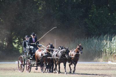Foto des Albums: Fahrtunier 2013