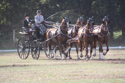 Foto des Albums: Fahrtunier 2013
