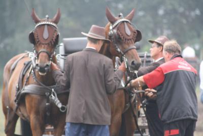 Foto des Albums: Fahrtunier 2013