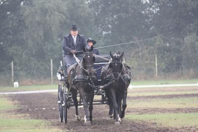 Foto des Albums: Fahrtunier 2013