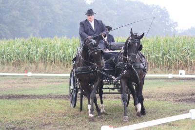 Foto des Albums: Fahrtunier 2013