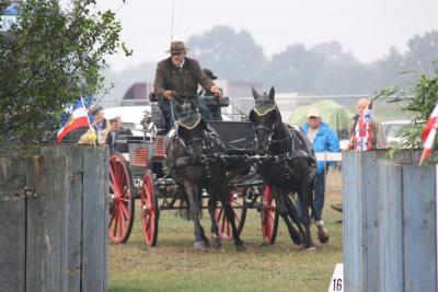 Foto des Albums: Fahrtunier 2013