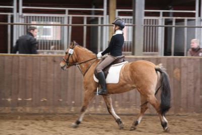 Foto des Albums: Altes Amt Friesoythe Turnier 2013