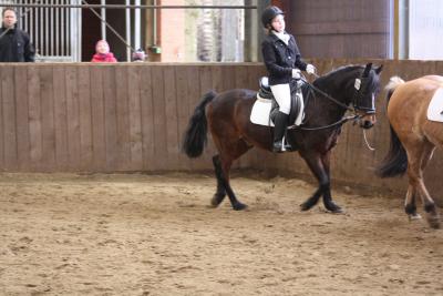 Foto des Albums: Altes Amt Friesoythe Turnier 2013