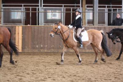 Foto des Albums: Altes Amt Friesoythe Turnier 2013