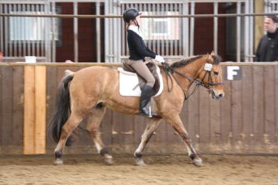 Foto des Albums: Altes Amt Friesoythe Turnier 2013