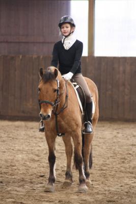 Foto des Albums: Altes Amt Friesoythe Turnier 2013