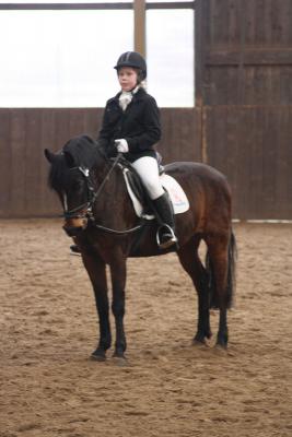 Foto des Albums: Altes Amt Friesoythe Turnier 2013