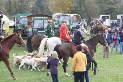 Foto des Albums: Herbstjagd 2013