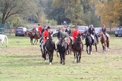 Foto des Albums: Herbstjagd 2013