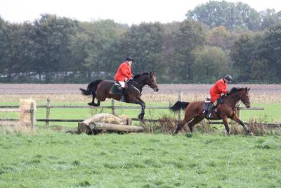 Foto des Albums: Herbstjagd 2013