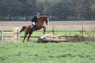 Foto des Albums: Herbstjagd 2013